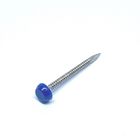 Construction Stainless Steel Plastic Head Nails / Pins SUS316 Poly Top Pins 30mm