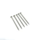 2.75X50MM Stainless Steel A2 Flat Head Nails With Smooth Shank