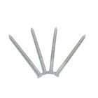 Flat Head Stainless Steel Annular Nails With Ring Shank For Decks And Outdoor