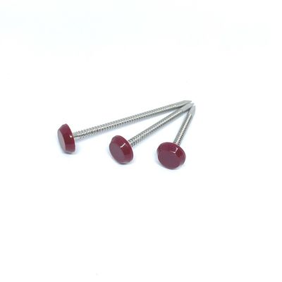 65MM فولاد ضد زنگ A2 حلقه حلقه ناخن نایلون PA6
