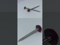 ساخت و ساز فولاد ضد زنگ ناخن های سر پلاستیکی SUS316 Poly Top Pins 30mm